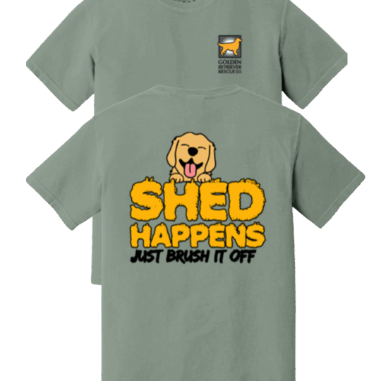 2025 Picnic Tee