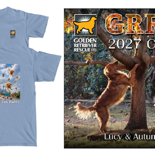 2026 Picnic Bundle - Year of the Puppy Tee and 2027 Calendar