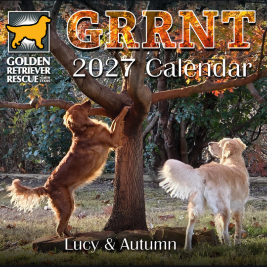 2027 GRRNT CALENDAR